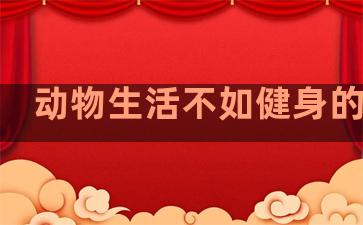 动物生活不如健身的句子