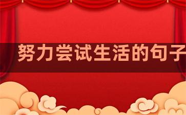 努力尝试生活的句子英文