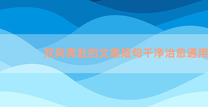 双向奔赴的文案短句干净治愈通用