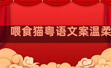 喂食猫粤语文案温柔句子