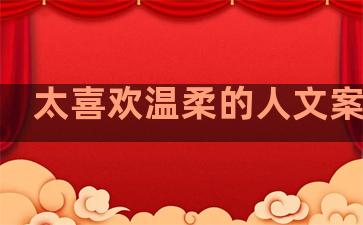 太喜欢温柔的人文案句子