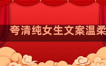 夸清纯女生文案温柔句子
