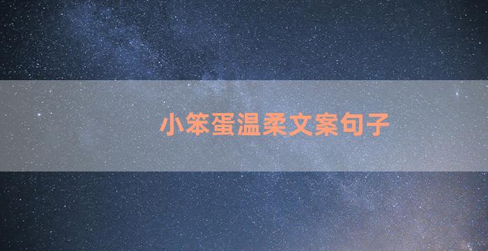 小笨蛋温柔文案句子