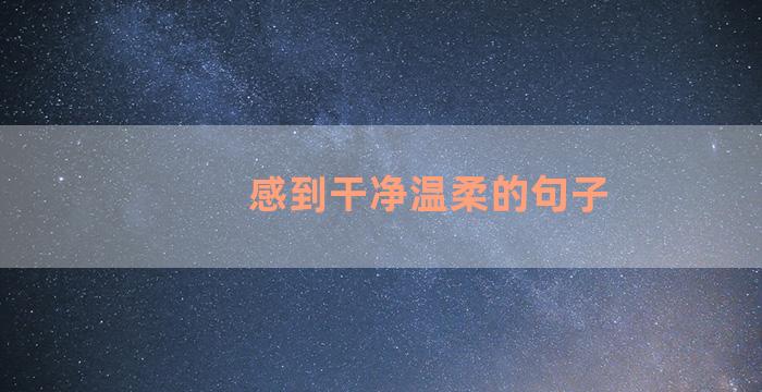 感到干净温柔的句子