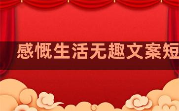 感慨生活无趣文案短句子