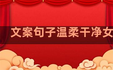 文案句子温柔干净女朋友