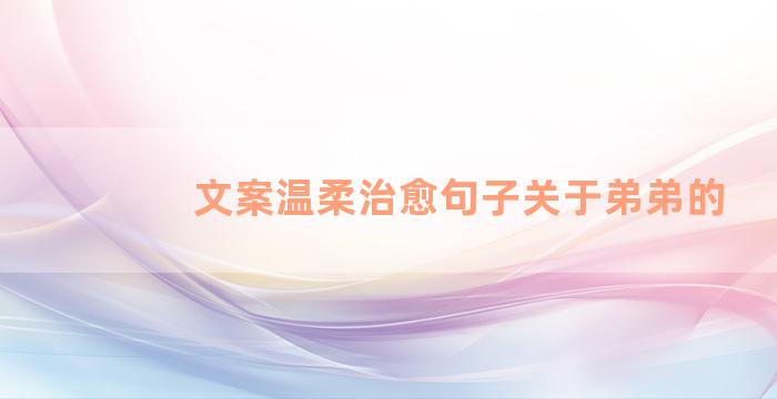 文案温柔治愈句子关于弟弟的