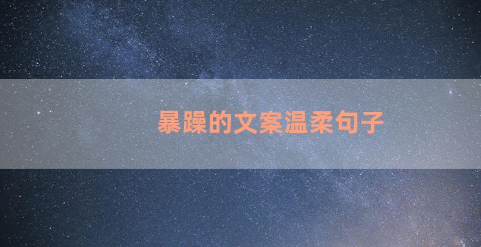暴躁的文案温柔句子