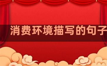 消费环境描写的句子温柔