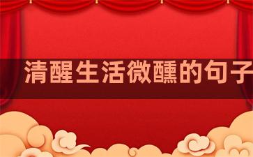 清醒生活微醺的句子简短