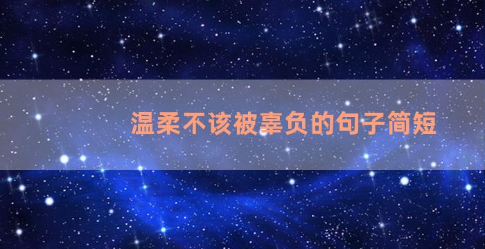 温柔不该被辜负的句子简短