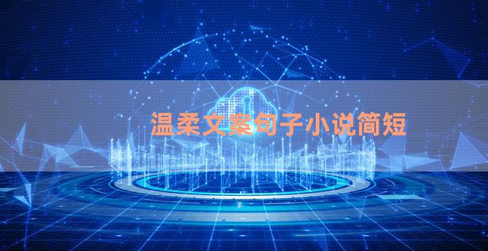 温柔文案句子小说简短