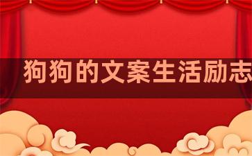 狗狗的文案生活励志句子