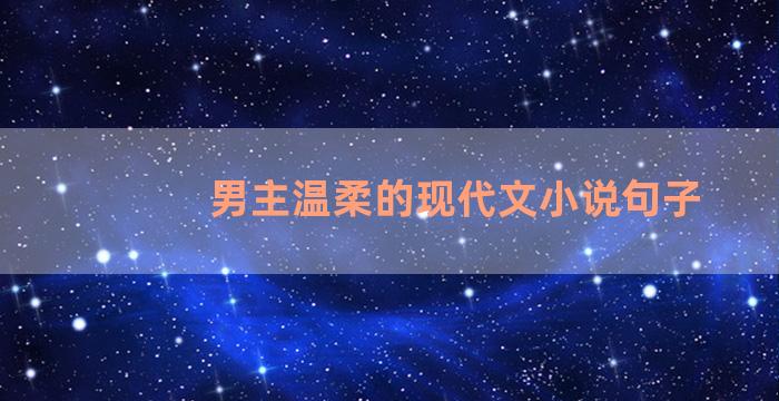 男主温柔的现代文小说句子