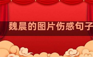 魏晨的图片伤感句子温柔